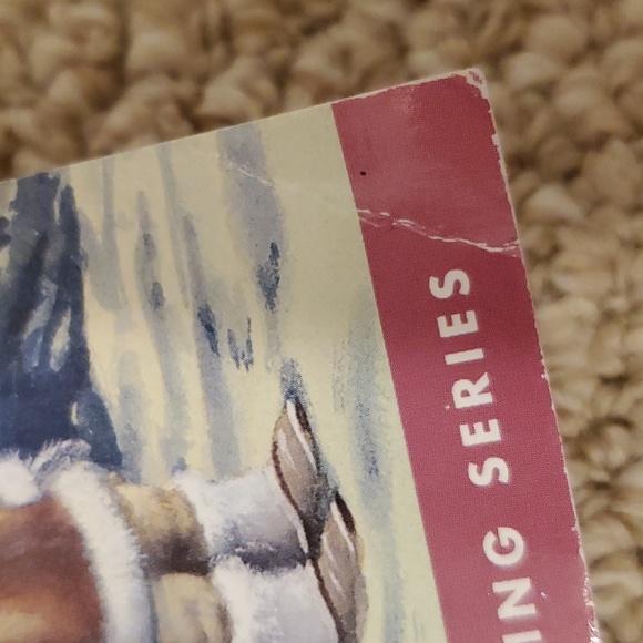 Lot of 12 Magic Tree House Paperback Books (Book 1-12) - Picture 15 of 16